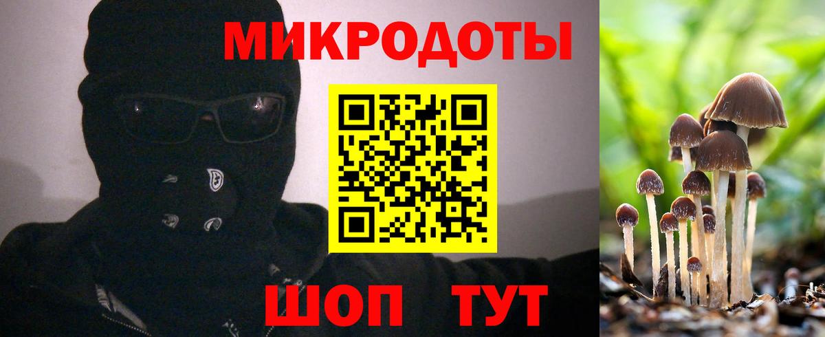 Липецк  Псилоцибиновые грибы Psilocybe  Вход с VPN  Псилоцибиновые грибы мухоморы 